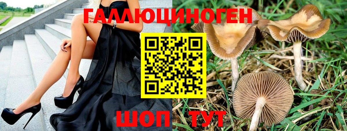 Галлюциногенные грибы мухоморы Торжок