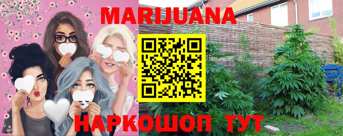 Конопля Bruce Banner Торжок